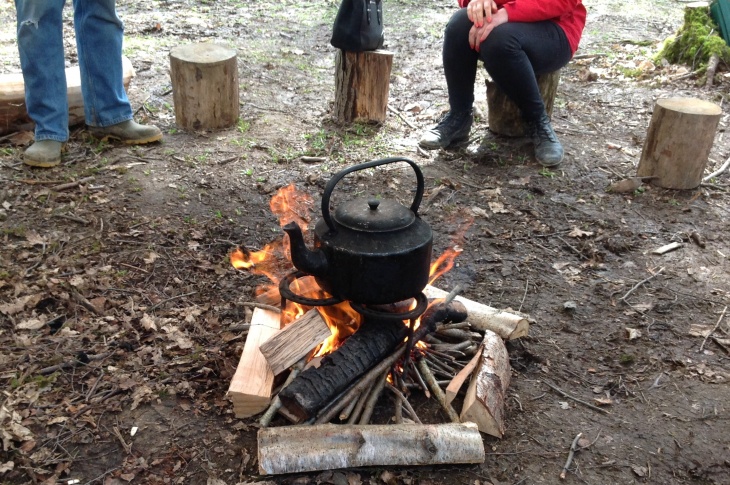 Campfire the Woodland Project Celebration Event