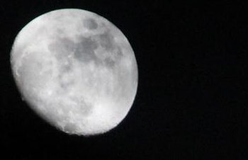 Moonfest for Heads On