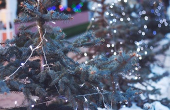 Christmas Funding Competition